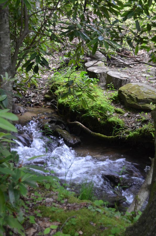 Panther Creek Cabins شيرروكي المظهر الخارجي الصورة